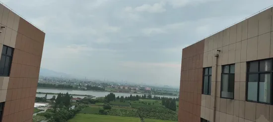 Universal Frame Metal Wiper Blade--by-116b Fiting for 95% Car Models